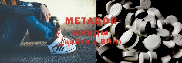 прущие грибы Алзамай