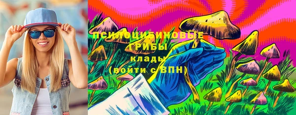 прущие грибы Алзамай