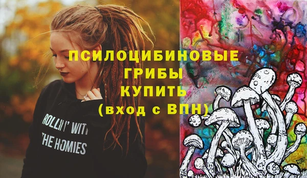 амф Алексин