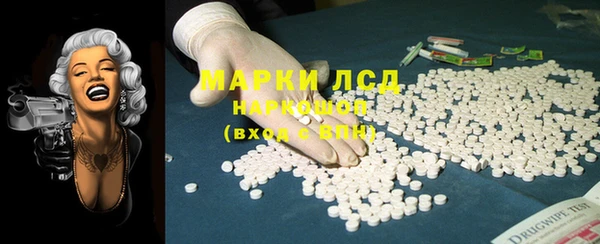 прущие грибы Алзамай