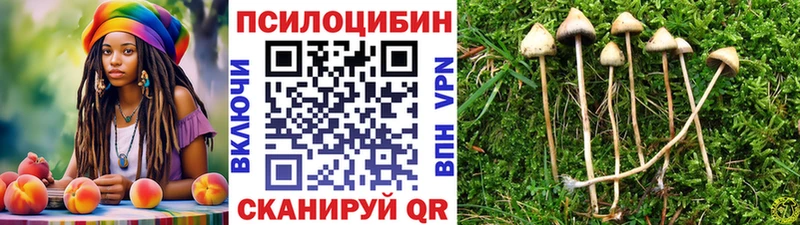 Псилоцибиновые грибы GOLDEN TEACHER  Омутнинск 